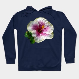 Hibiscus - Hibiscus Candy Striper Hoodie